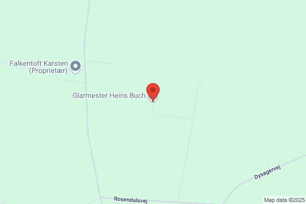 Buch Heins