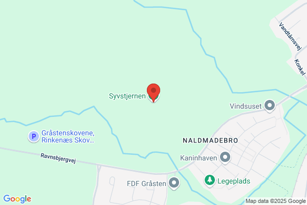 Fælleslisten - Syvstjernen