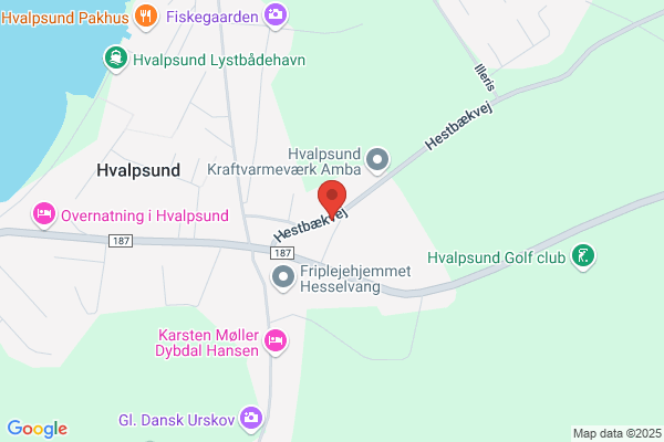 Hvalpsund Borgerforening