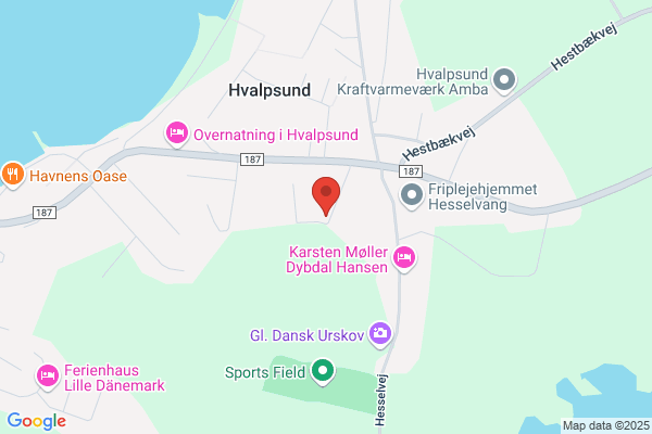 Hvalpsund Hallen