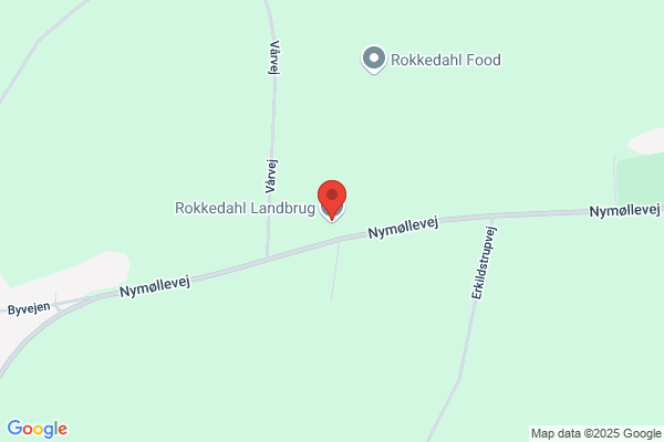 Rokkedahl, Erik