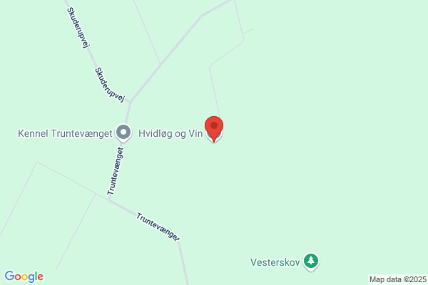 Hvidløg og Vin
