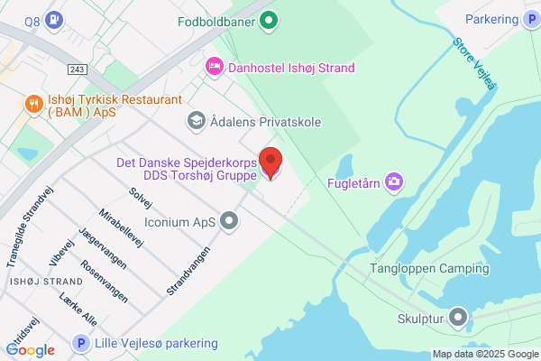 Det Danske Spejderkorps