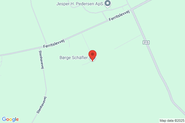 Børge Schäfler