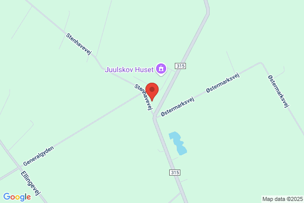 Juulskovskolen