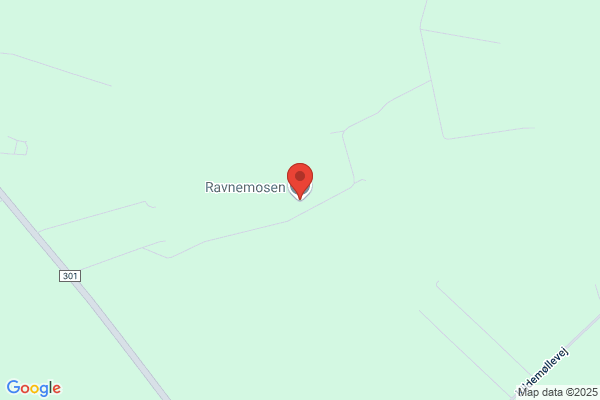 Ravnemosen