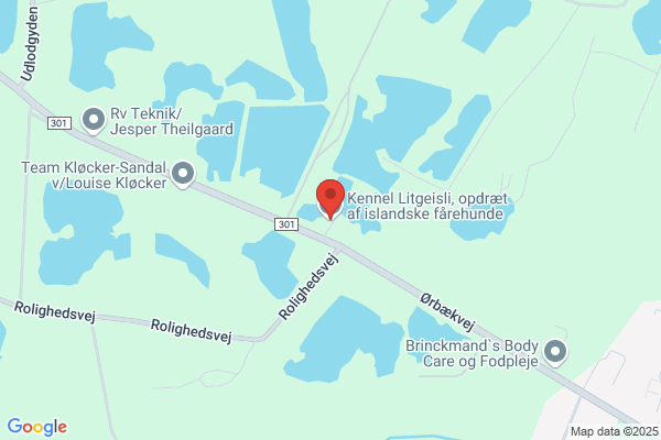 Vejs Ende, Kennel