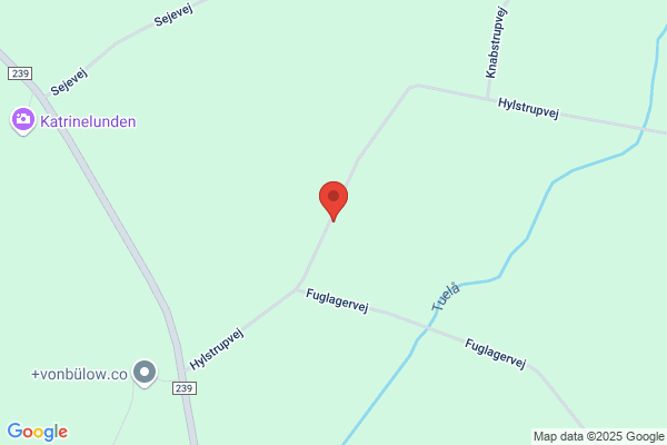 Enhedslisten Ringsted