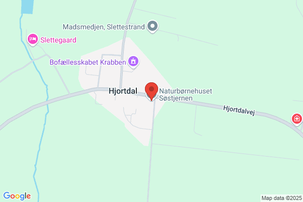 Søstjernen