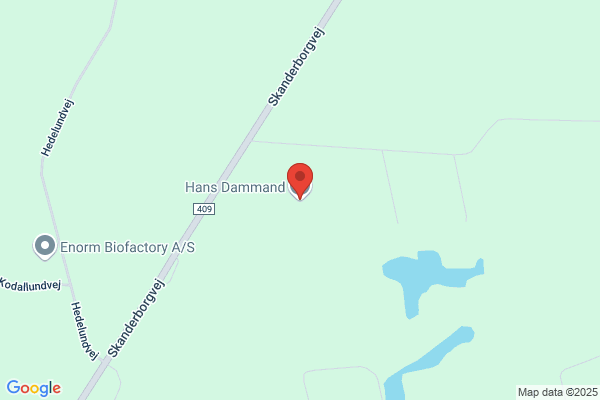 Dammand, Nikolaj og Hans