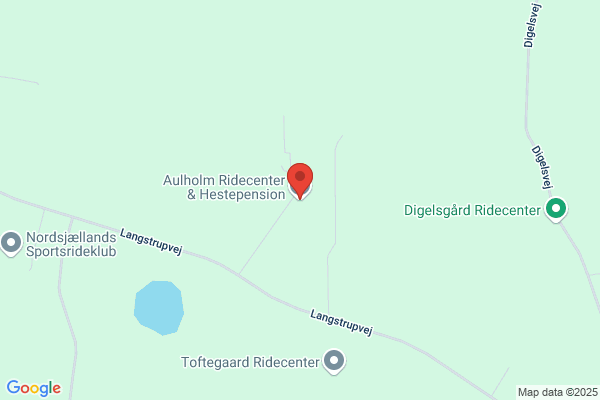 Aulholm Ridecenter & Hestepension
