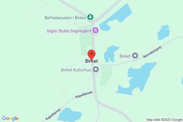 Birkeris af 1994