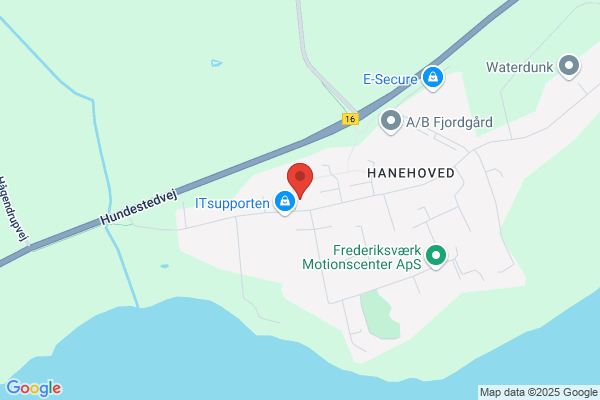 Frederiksværks Vinduespolering (Franciscus Nijhoff)