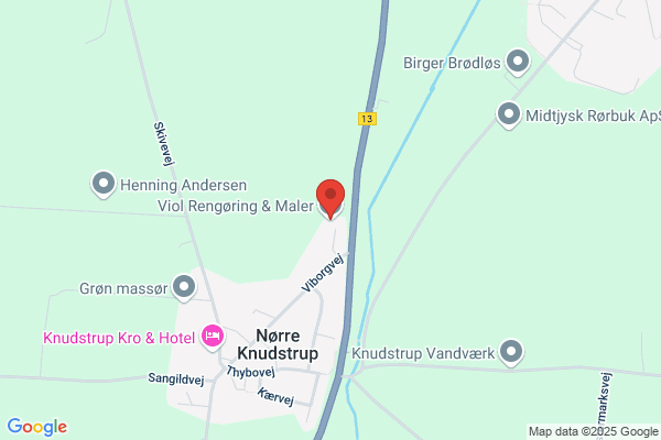Viol Rengøring