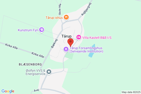 Frørup Taxi