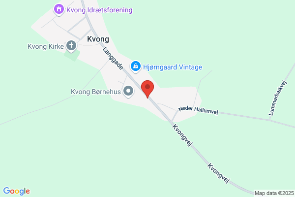 Kvong Friskole