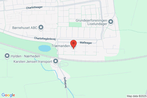 Træmanden