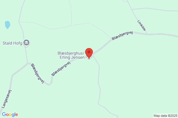 Jensen, Erling