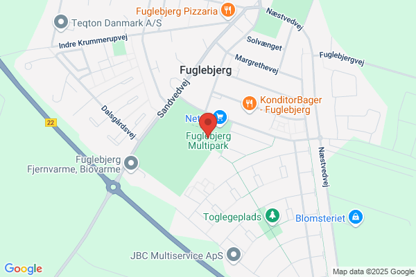 Multirengøring, Den Blå Delfin
