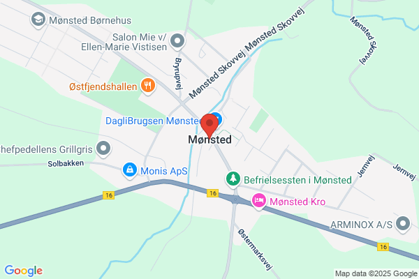 Mønsted Revision