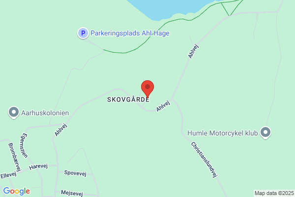 Bækbølling Araber Stutteri & Pension