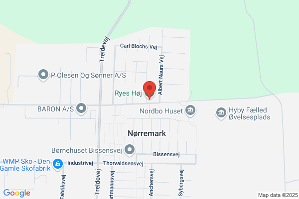 Rye Olsen, Ib