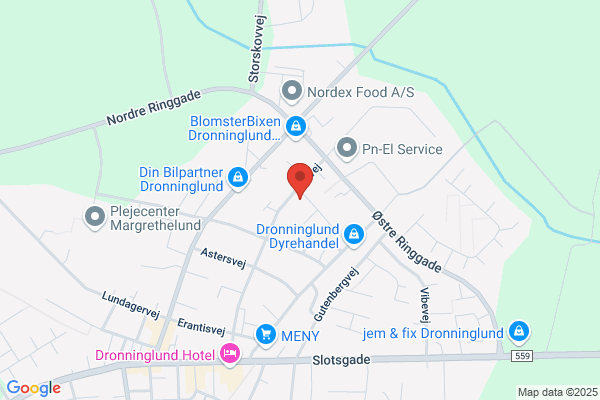 Venstre i Brædstrup Kommune