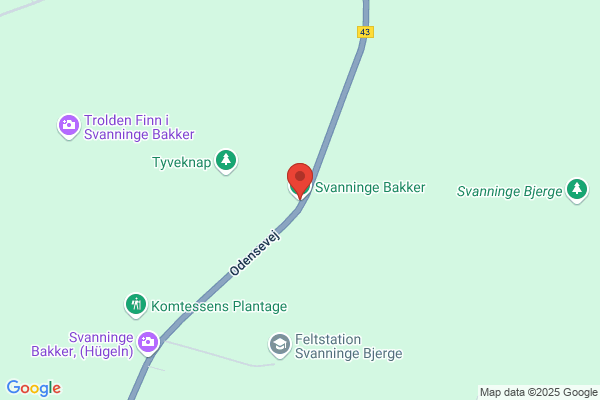 Svanninge Søgård