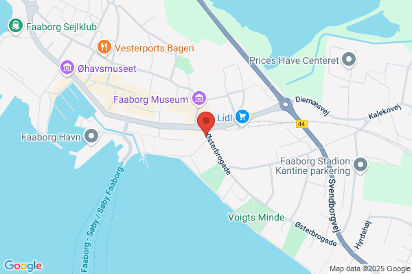 Ledernes Hovedorganisation Svendborg afd.