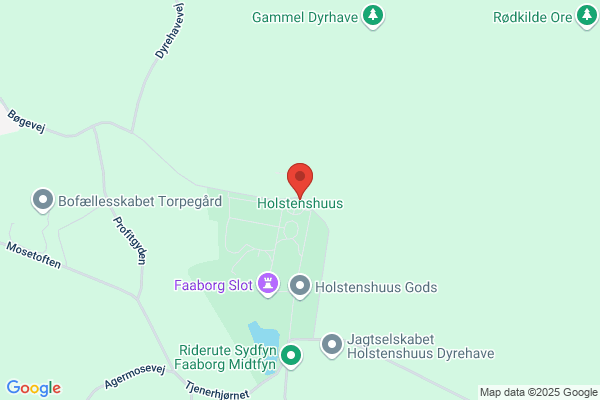 Holstenshuus Gods
