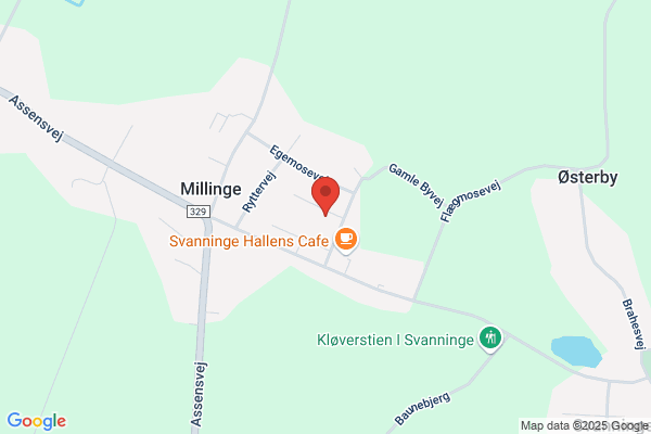 Lindegård, Salon