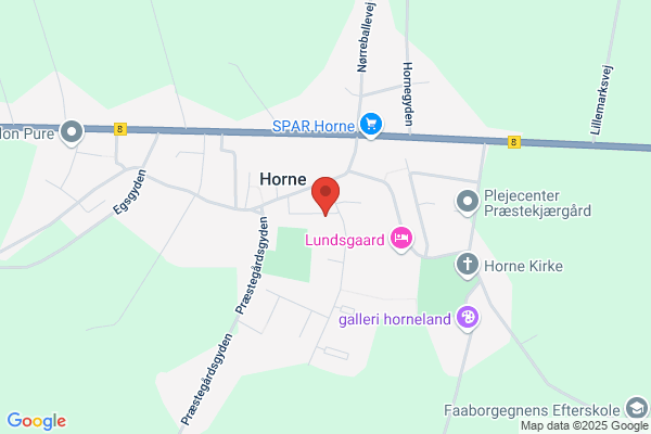 Horne Daginstitution