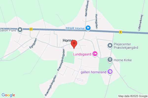 Horne skole