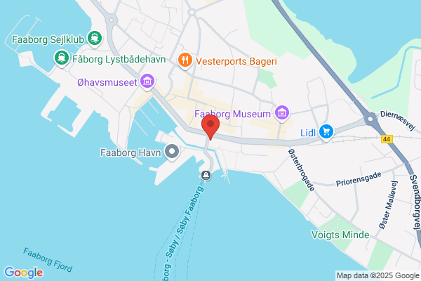 BDO ScanRevision statsaut. revisionsaktieselskab