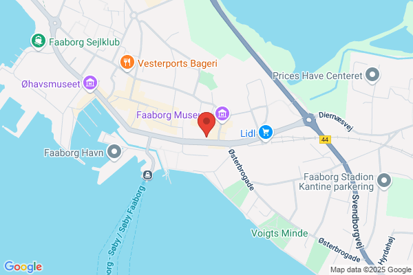 Den Lille Revisor