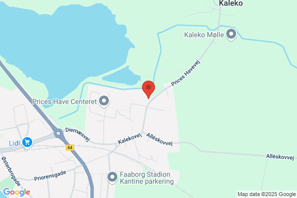 Enghaveskolen Fåborgegnens Friskole