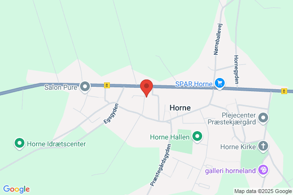 Horne Tømrerforretning ApS