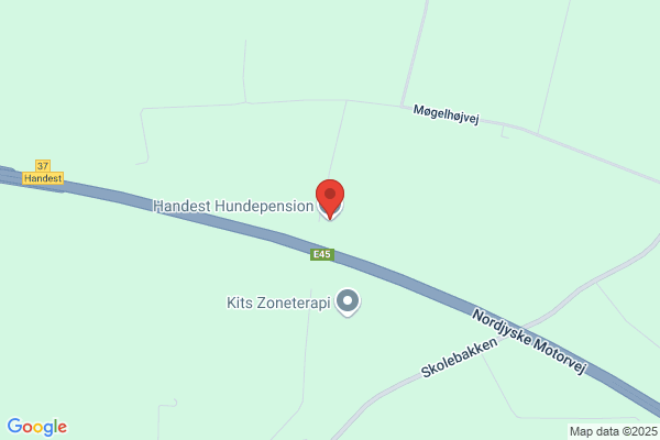 Handest Hundepension