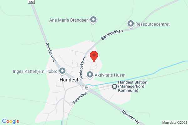 Vidtfeltsvej,, Grundejerforeningen Handest
