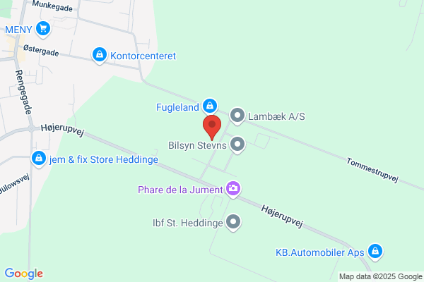 IT - Konsulenten
