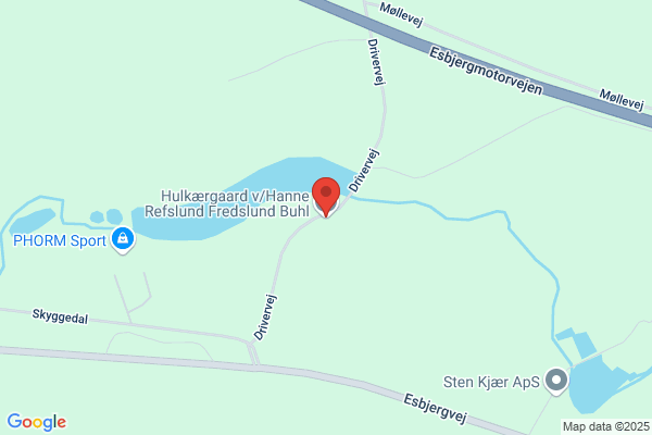 Buhl, Hanne