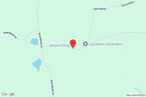 Jensen, Erling