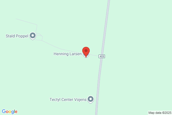Larson, Henning