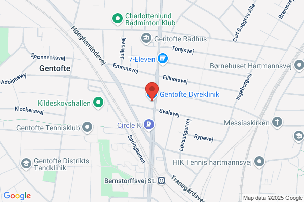 Dyreklinikken