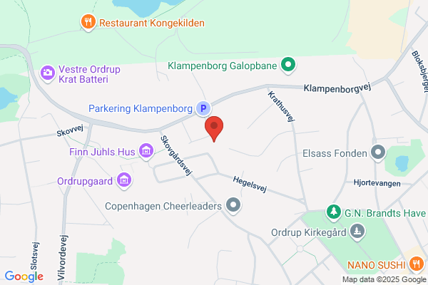 Aktive Pensionisters Organisation, Landsforeningen A.P.O.
