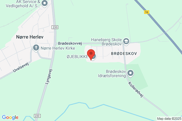 Grundejerforening v. Asserbo Plantage