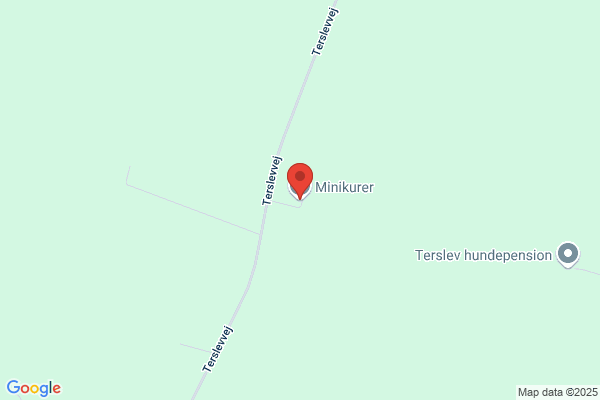 Minikurer