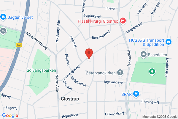 Riisager, Jens
