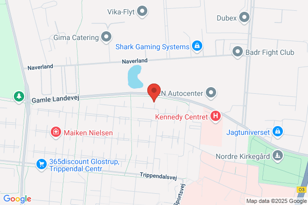 Hjemstavns Folkedanserne Frederiksberg