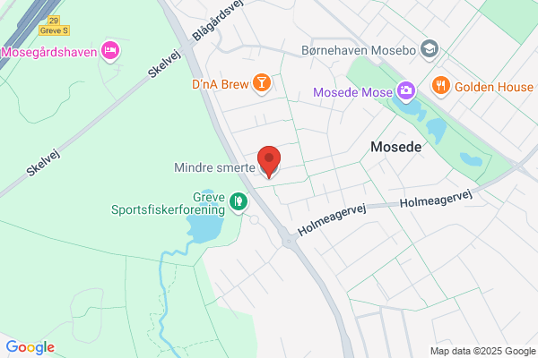 De Rejsende Terapeuter